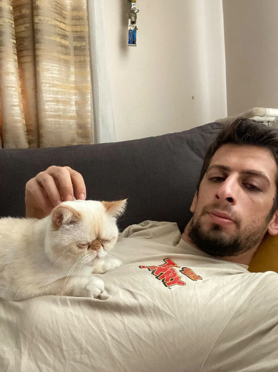 Ayrıldığı sevgilisi kedisi 'Patates'i çaldı: Veterineri suçladı