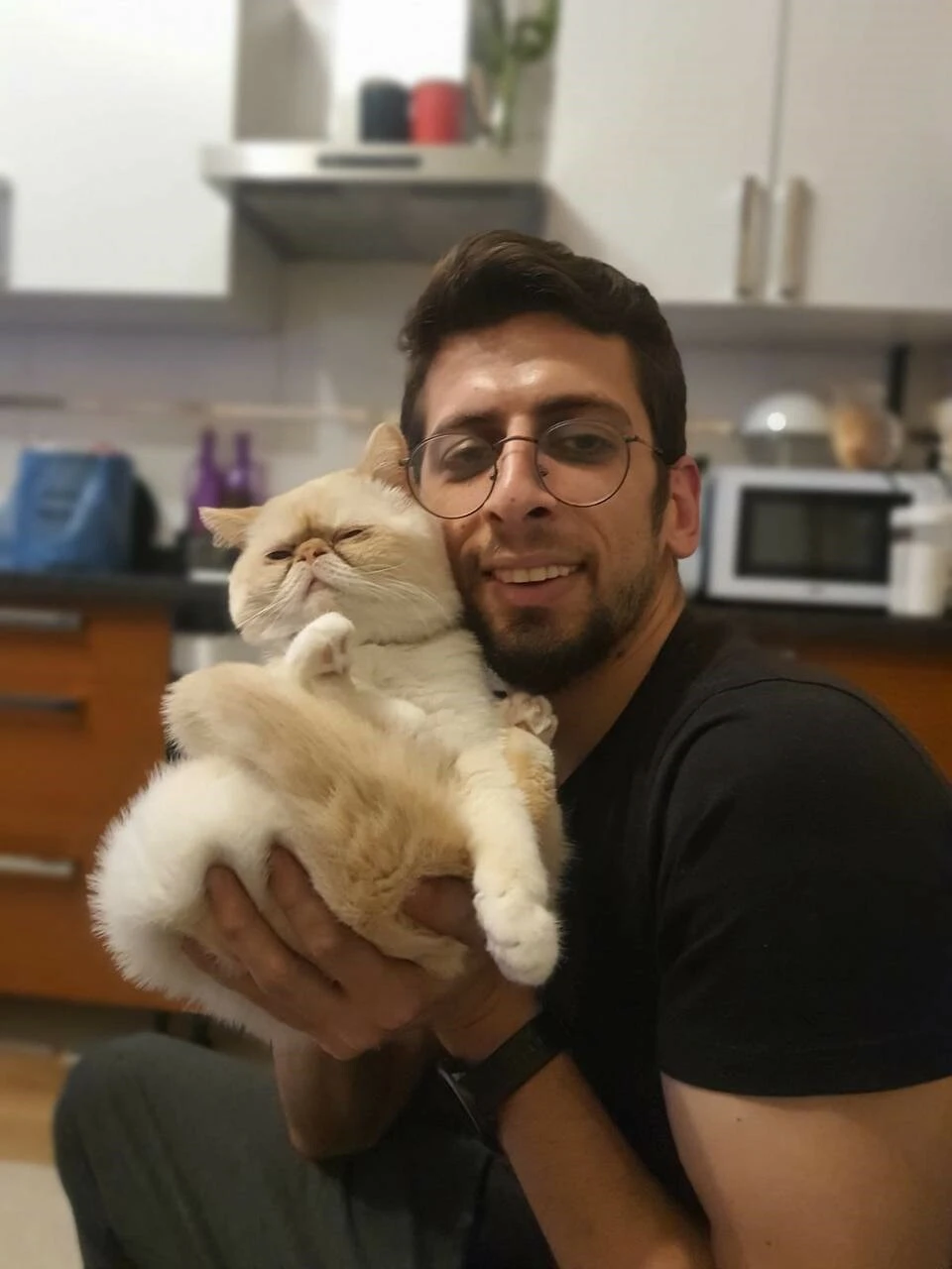 Ayrıldığı sevgilisi kedisi 'Patates'i çaldı: Veterineri suçladı