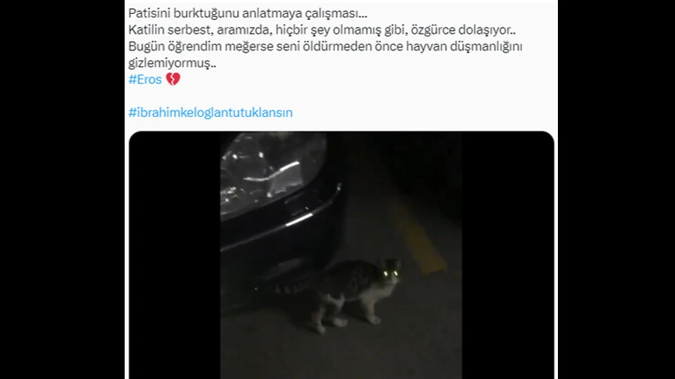 Kediyi ayağıyla ezerek öldürdü, herkes hep bir ağızdan bağırdı... İbrahim Keloğlan tutuklansın, katil istemiyoruz... - 9. Resim