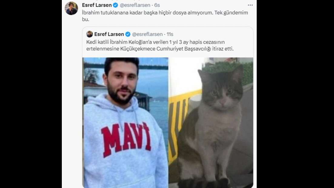 Kediyi ayağıyla ezerek öldürdü, herkes hep bir ağızdan bağırdı... İbrahim Keloğlan tutuklansın, katil istemiyoruz... - 8. Resim