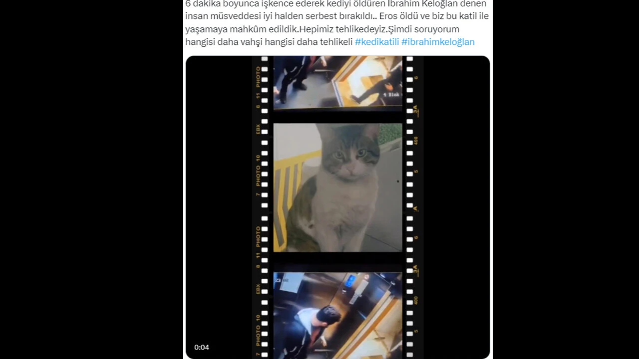 Kediyi ayağıyla ezerek öldürdü, herkes hep bir ağızdan bağırdı... İbrahim Keloğlan tutuklansın, katil istemiyoruz... - 13. Resim