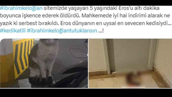 Kediyi ayağıyla ezerek öldürdü, herkes hep bir ağızdan bağırdı... İbrahim Keloğlan tutuklansın, katil istemiyoruz... - 11. Resim