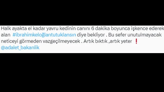 Kediyi ayağıyla ezerek öldürdü, herkes hep bir ağızdan bağırdı... İbrahim Keloğlan tutuklansın, katil istemiyoruz... - 7. Resim