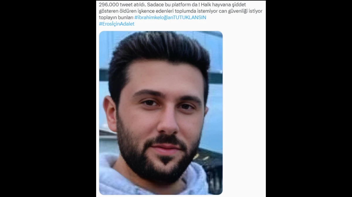 Kediyi ayağıyla ezerek öldürdü, herkes hep bir ağızdan bağırdı... İbrahim Keloğlan tutuklansın, katil istemiyoruz... - 5. Resim