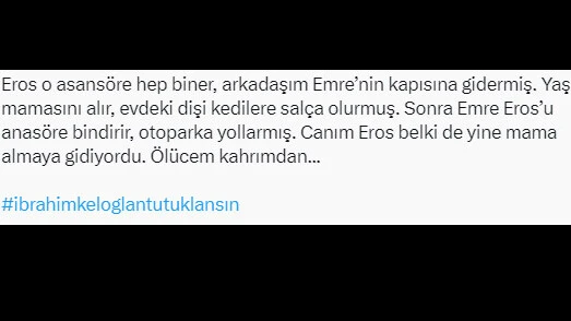 Kediyi ayağıyla ezerek öldürdü, herkes hep bir ağızdan bağırdı... İbrahim Keloğlan tutuklansın, katil istemiyoruz... - 3. Resim