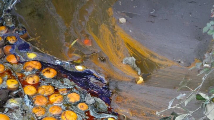 Mor ve siyah aktı! Dereyi kirleten fabrikaya para cezası...