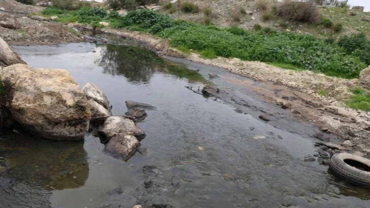 Mor ve siyah aktı! Dereyi kirleten fabrikaya para cezası...