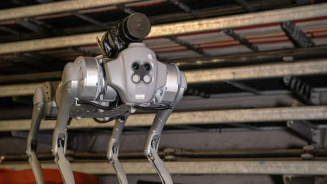 Petrol, maden tesisi ve stadyumlar... İnsanların giremediği yerlere giren 'robot köpek' diğerlerine benzemiyor