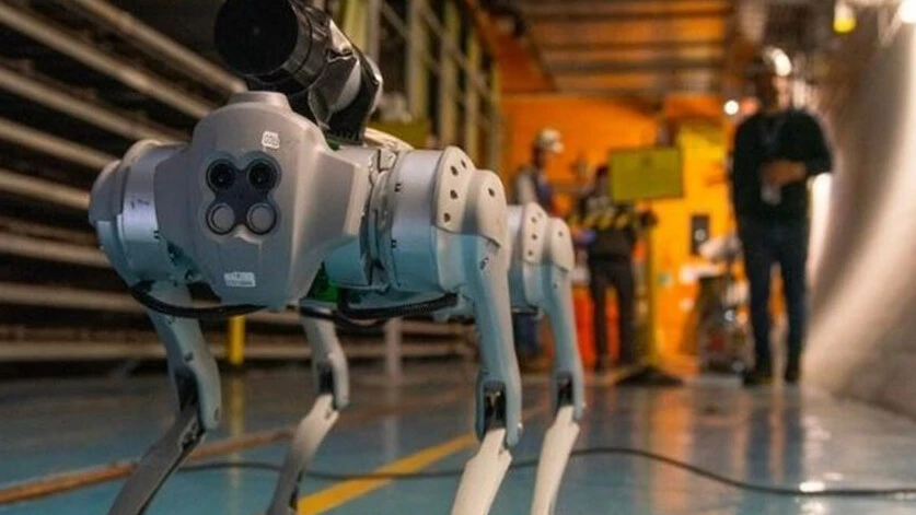 Petrol, maden tesisi ve stadyumlar... İnsanların giremediği yerlere giren 'robot köpek' diğerlerine benzemiyor