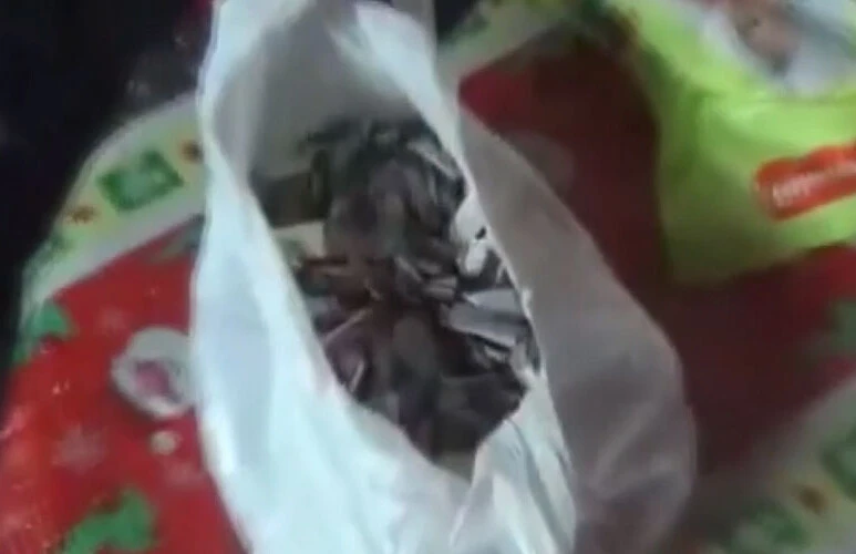 Polisten 'romantik' operasyon: Ayı kostümüyle kıskıvrak yakaladı - 2. Resim