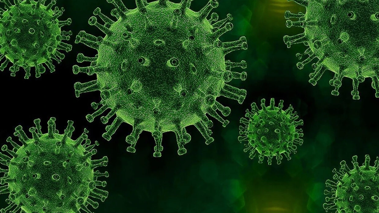 En son 2015'te görülmüştü! Nüfusun yarısının ölümüne sebep olan hastalık yeniden ortaya çıktı... - 2. Resim