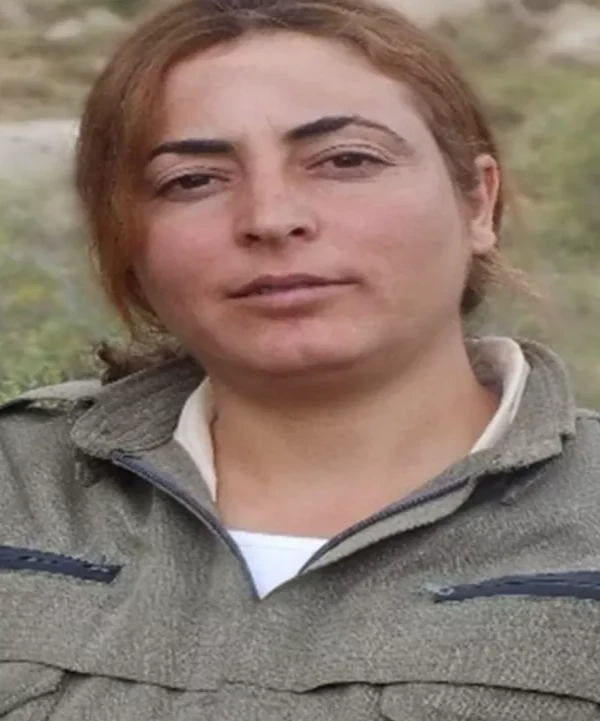 Son dakika! Irak'ın kuzeyinde 4 PKK'lı terörist etkisiz hale getirildi - 1. Resim