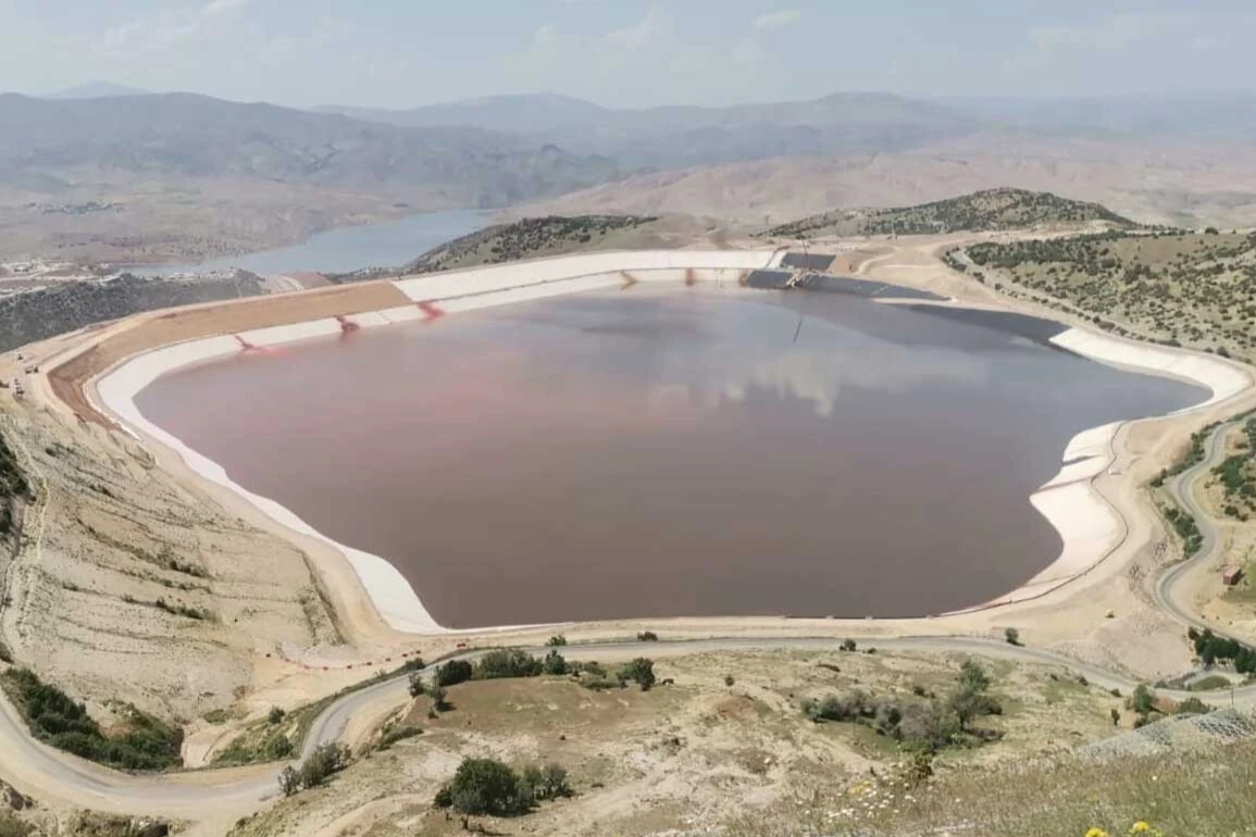 O besinlerin çekirdeklerinde siyanür var! Dünyanın en güçlü zehri