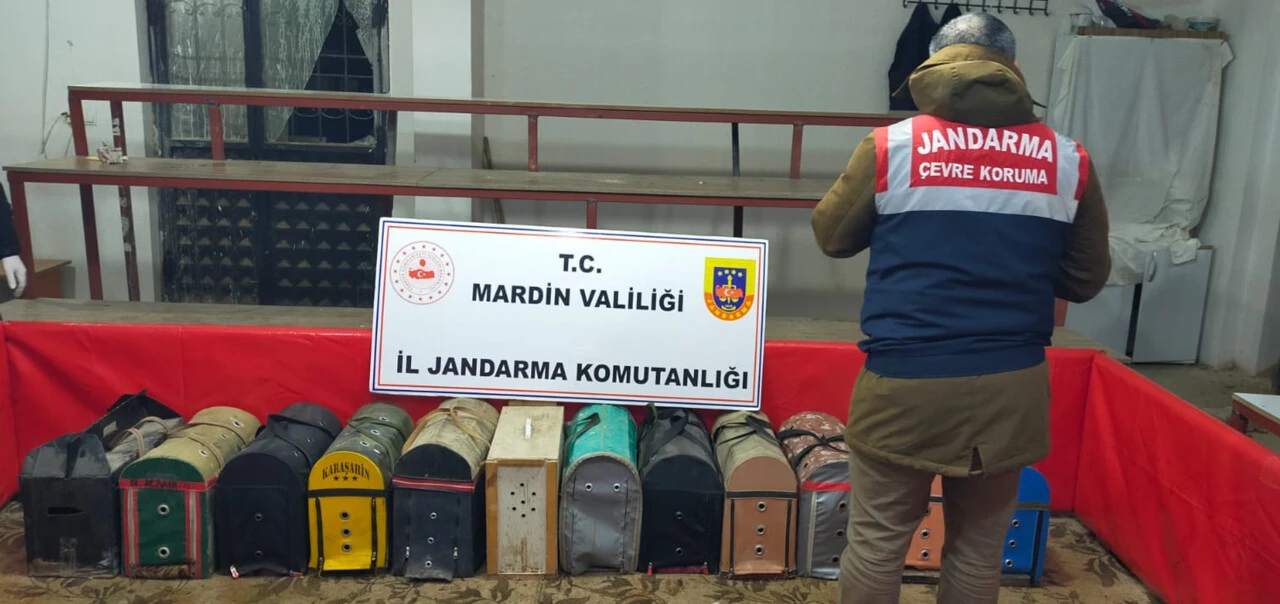 Horoz dövüştürenlere baskın! Tam 578 bin lira ceza kesildi - 1. Resim