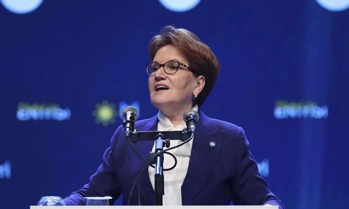 İYİ Parti'de istifa zinciri: Kavuncu yerine İmamoğlu'nu destekleyecekler - 1. Resim