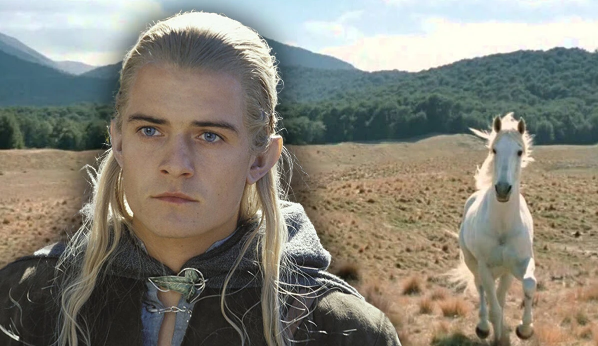 Atların efendileri kamerada: Gözlerim bir büyüyle bağlanmadıysa bu bir yılkı