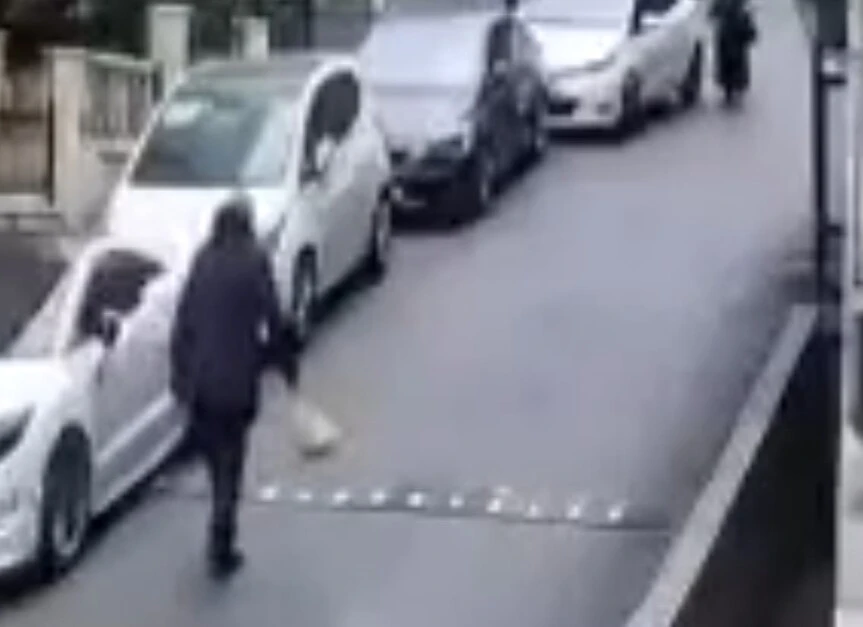 Eyüpsultan'da dehşet: Park halindeki araç ok gibi fırladı 85 yaşındaki kadın kaçamadı - 1. Resim
