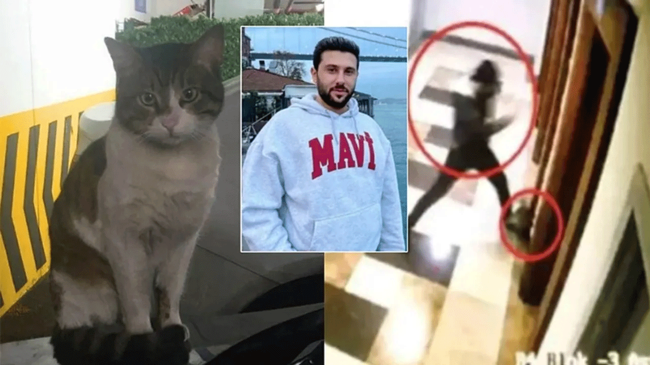 Kedi Eros&#039;u işkence ederek öldüren İbrahim Keloğlan hakkında flaş gelişme