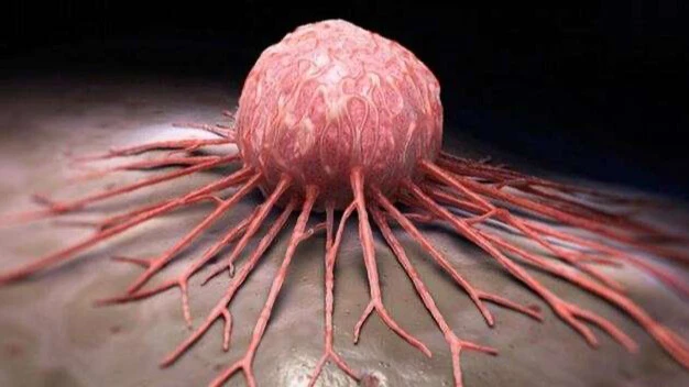 Türk mutfağının vazgeçilmezi, kanser riskini büyük oranda düşürüyor