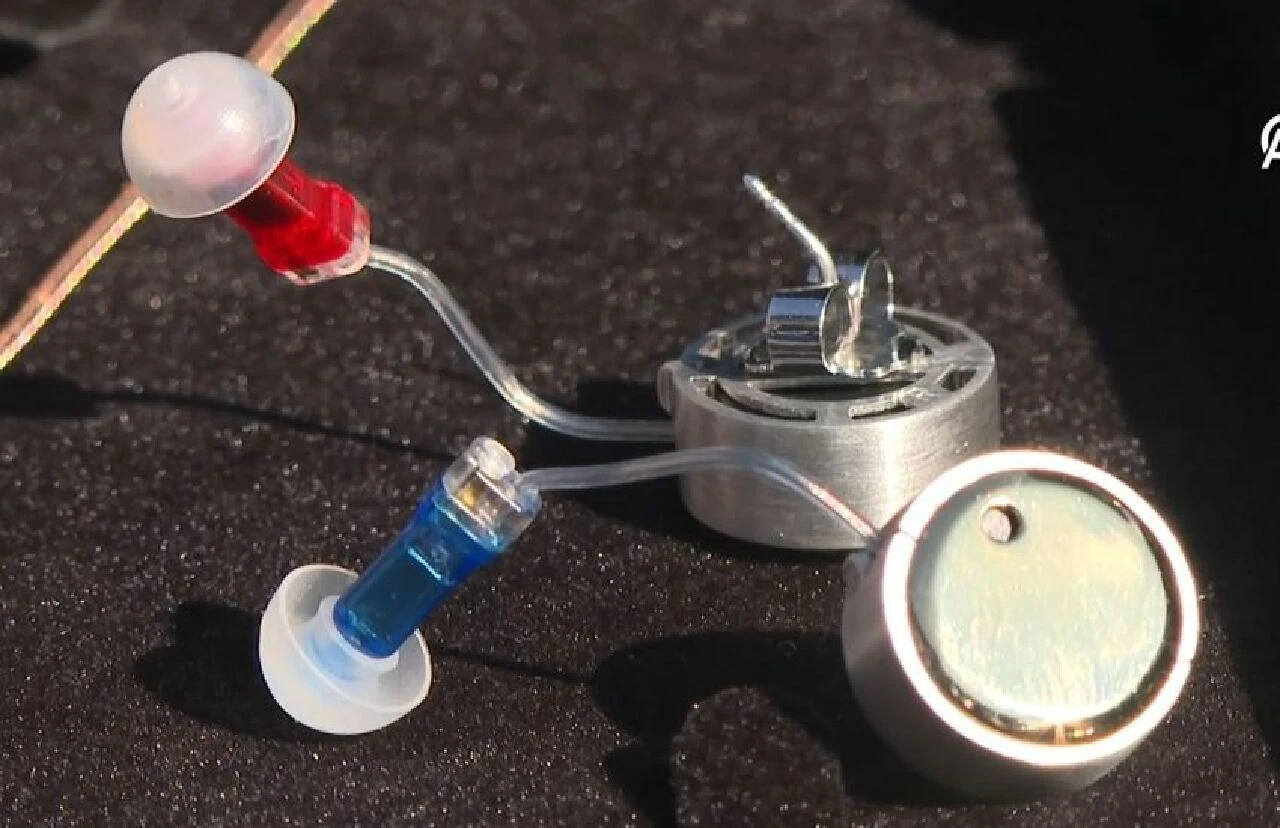 Sağırlığa en estetik çözüm: Kulaklara küpe oldu - 1. Resim