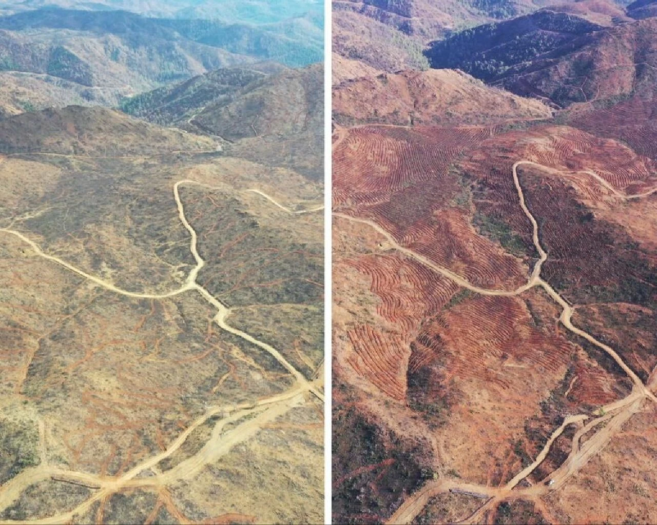 Marmaris orman yangınından iki yıl sonra görüntülendi! İşte öncesi ve sonrası