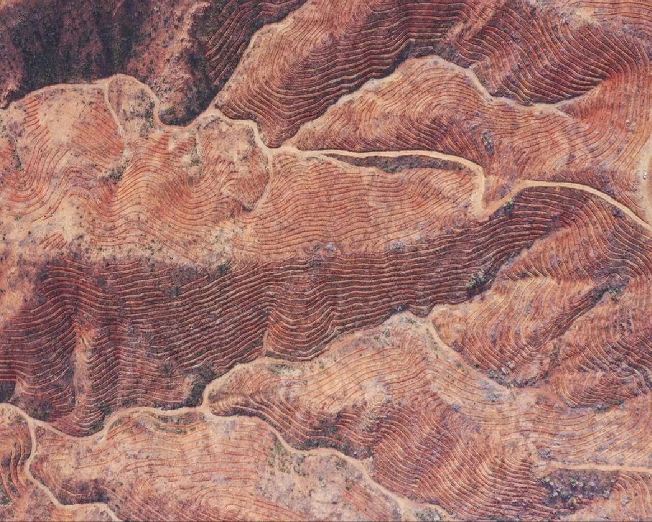 Marmaris orman yangınından iki yıl sonra görüntülendi! İşte öncesi ve sonrası