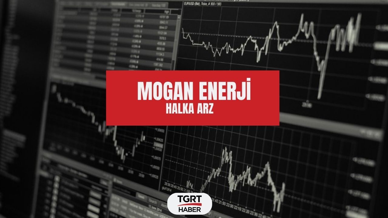 Mogan Enerji halka arz fiyatı nedir, kaç lot veriyor? Mogan Enerji halka arz oluyor!