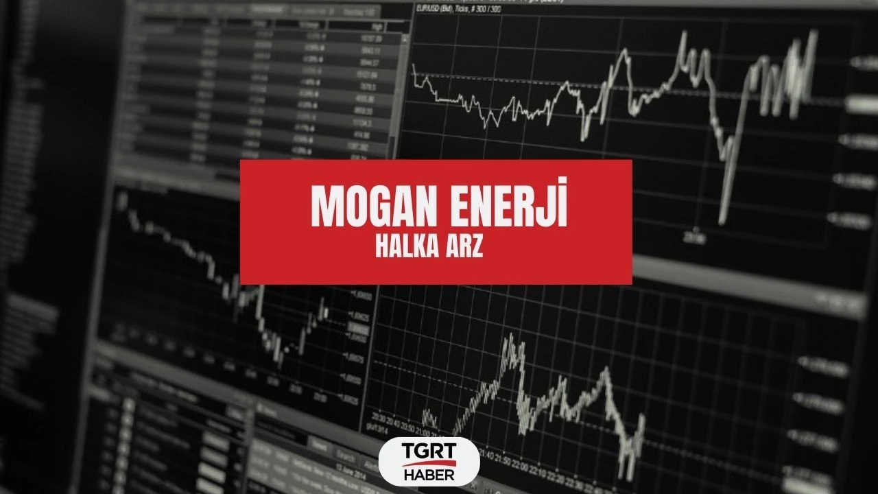 Mogan Enerji halka arz katılım endeksine uygun mu? - 1. Resim