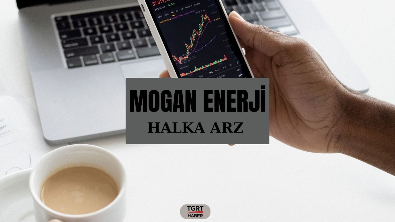 Mogan Enerji halka arz katılım endeksine uygun mu?