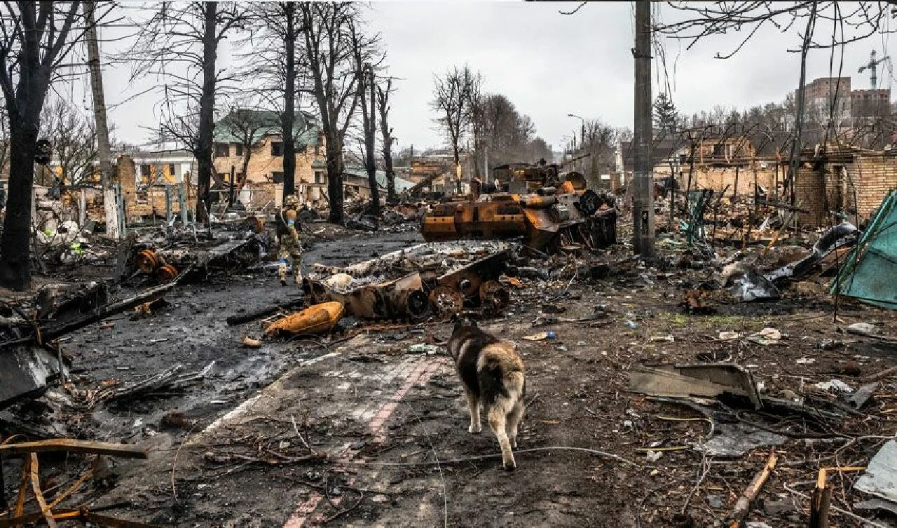 Rusya-Ukrayna Savaşı 2 yıllık dramı geride bıraktı... - 5. Resim