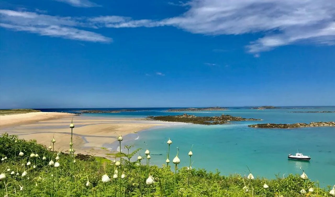 Bu bölgede bisiklet kullanmak yasak ve herkes memnun!