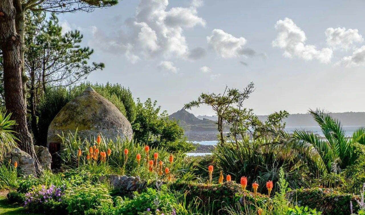 Bu bölgede bisiklet kullanmak yasak ve herkes memnun!