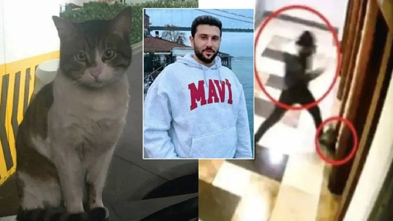 Cumhurbaşkanı Erdoğan'dan Bakan Tunç'a 'Eros' telefonu: Bizzat takip ediyor