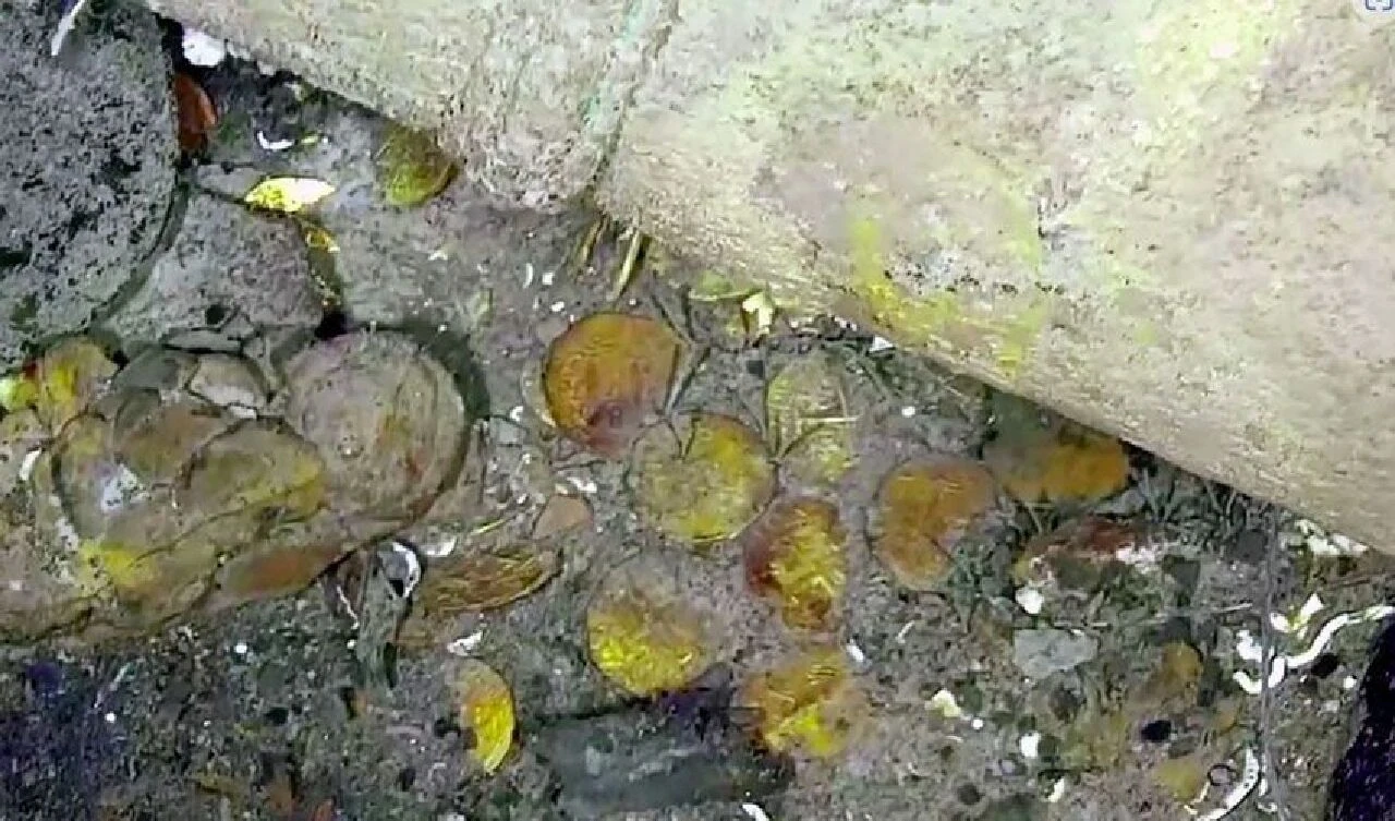 Hazine avcıları bu geminin peşinde! Altın, gümüş, zümrüt hepsi içinde... - 2. Resim