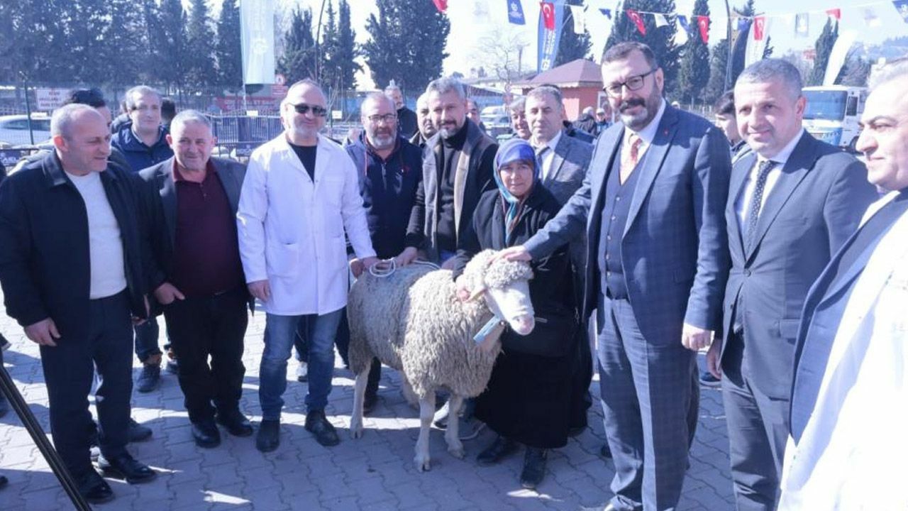 Kocaeli Büyükşehir’den üreticiye koç ve teke desteği