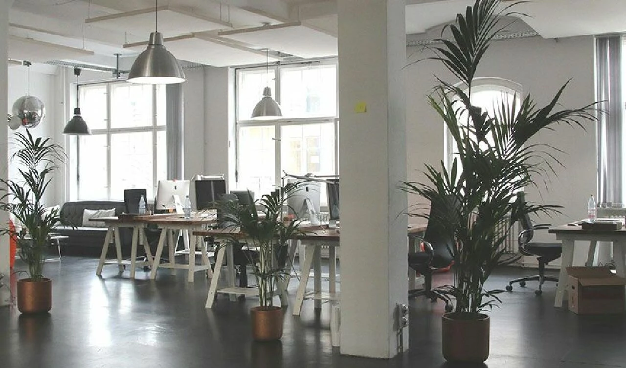 Merkez'den yeni açıklama: Dükkan fiyatları bir yılda ne kadar arttı? - 1. Resim