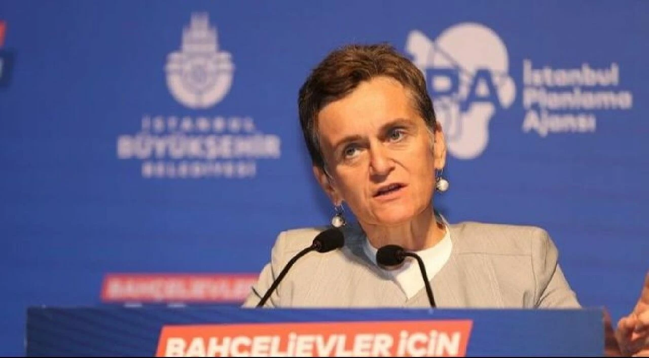 Pelin Alpkökin kimdir? Canlı yayın konuğu Pelin Alpkökin kaç yaşında, mesleği nedir?