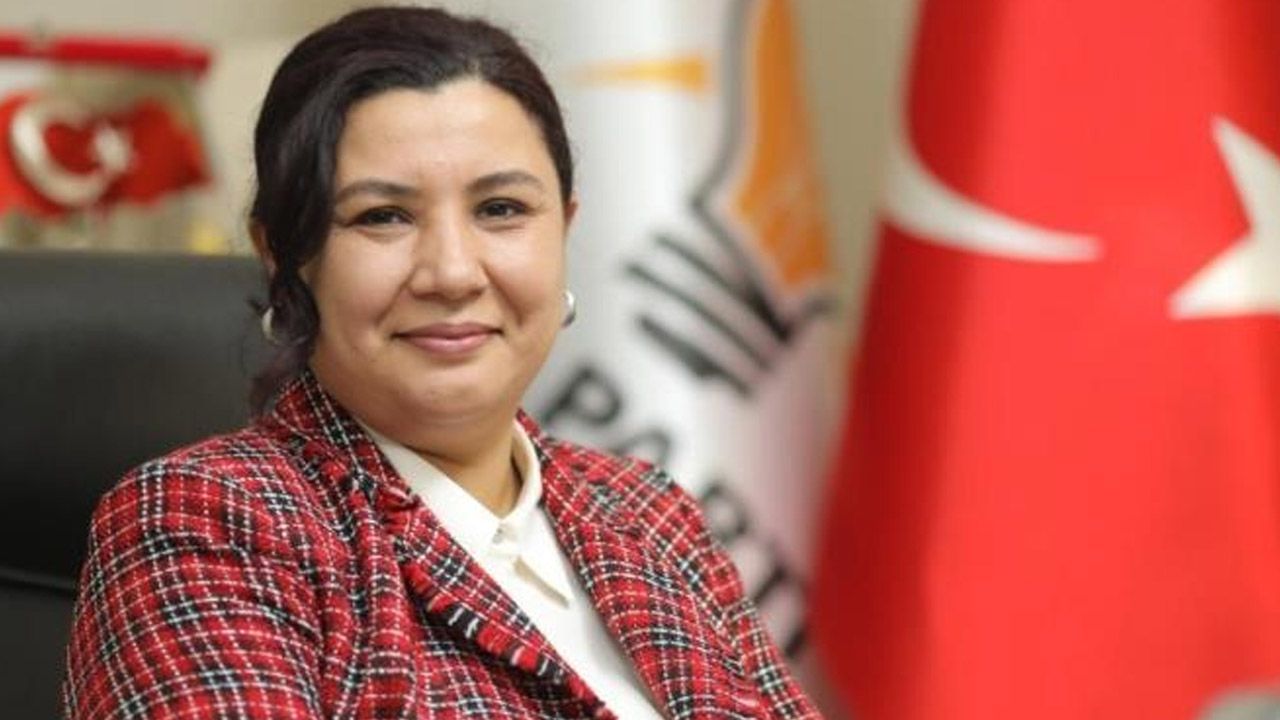 AK Parti Kırşehir İl Başkanı Seher Ünsal: 5 yıl heba oldu