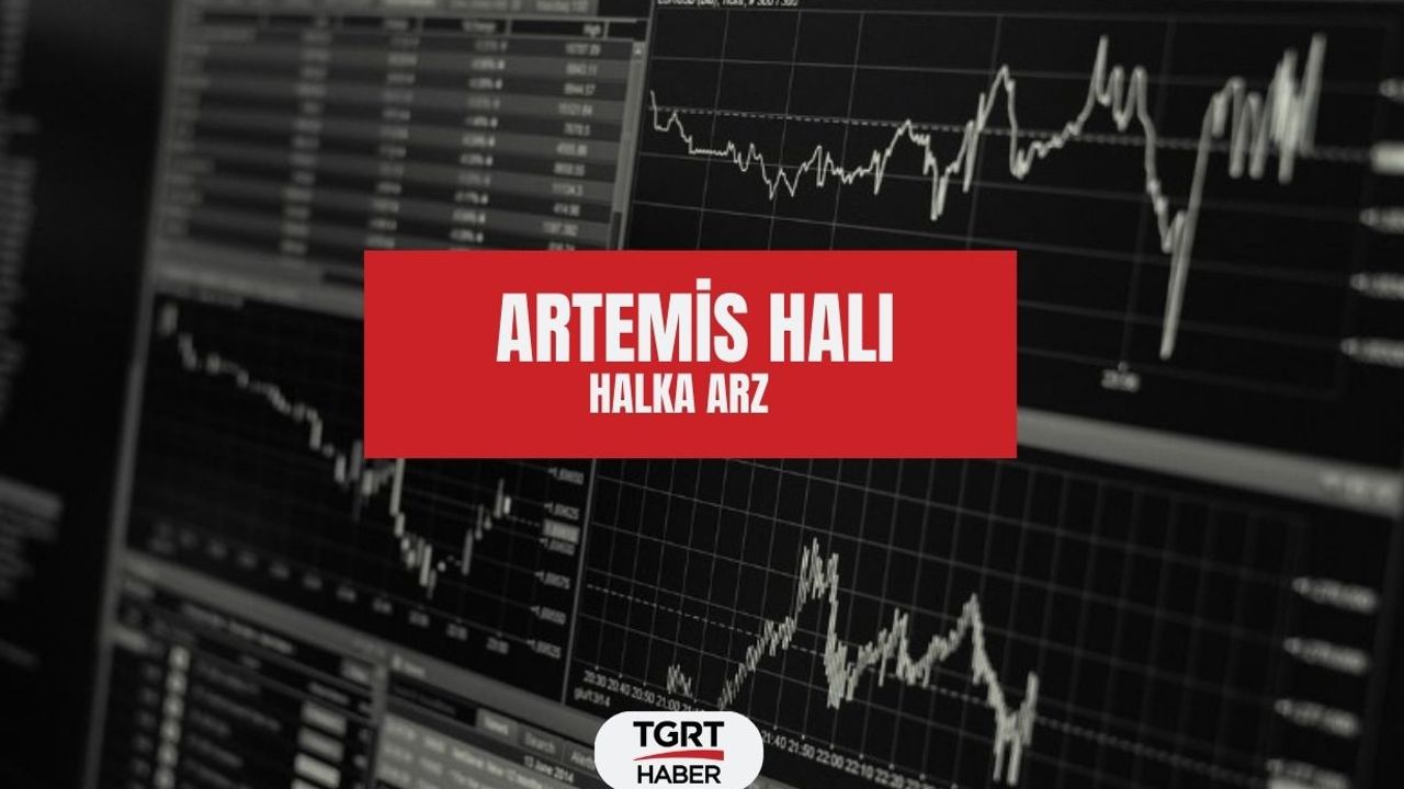 Artemis Halı hangi bankalarda var, nereden alınır? Artemis Halı halka arz kaç lot verir?