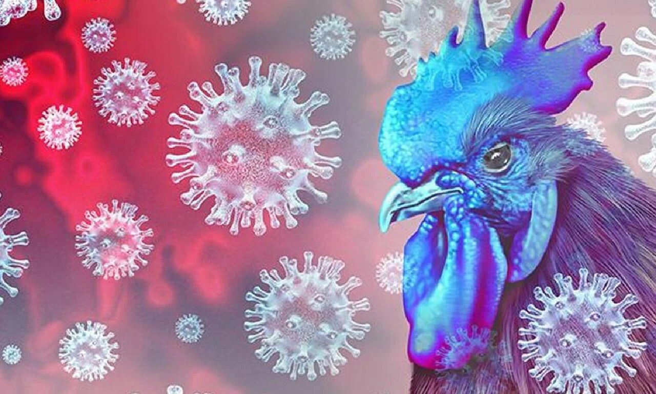 Hiç ihtimal verilmiyordu... 'Büyük risk' denilerek açıklandı: Virüs bir bölgeye daha sıçradı