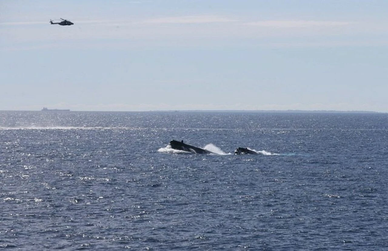 Rusya tehditleri sonrası NATO düğmeye bastı! Türkiye'nin desteğiyle Akdeniz'de en büyük askeri faaliyet - 1. Resim