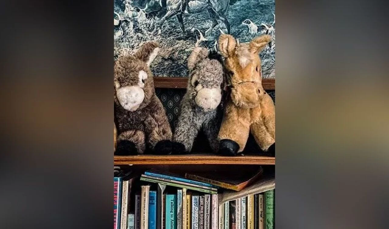 Terk edilmiş evin içinden çıkanlar tüyler ürpertici - 3. Resim