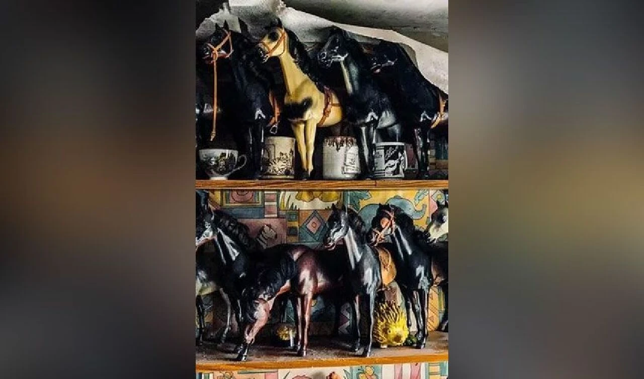 Terk edilmiş evin içinden çıkanlar tüyler ürpertici - 1. Resim