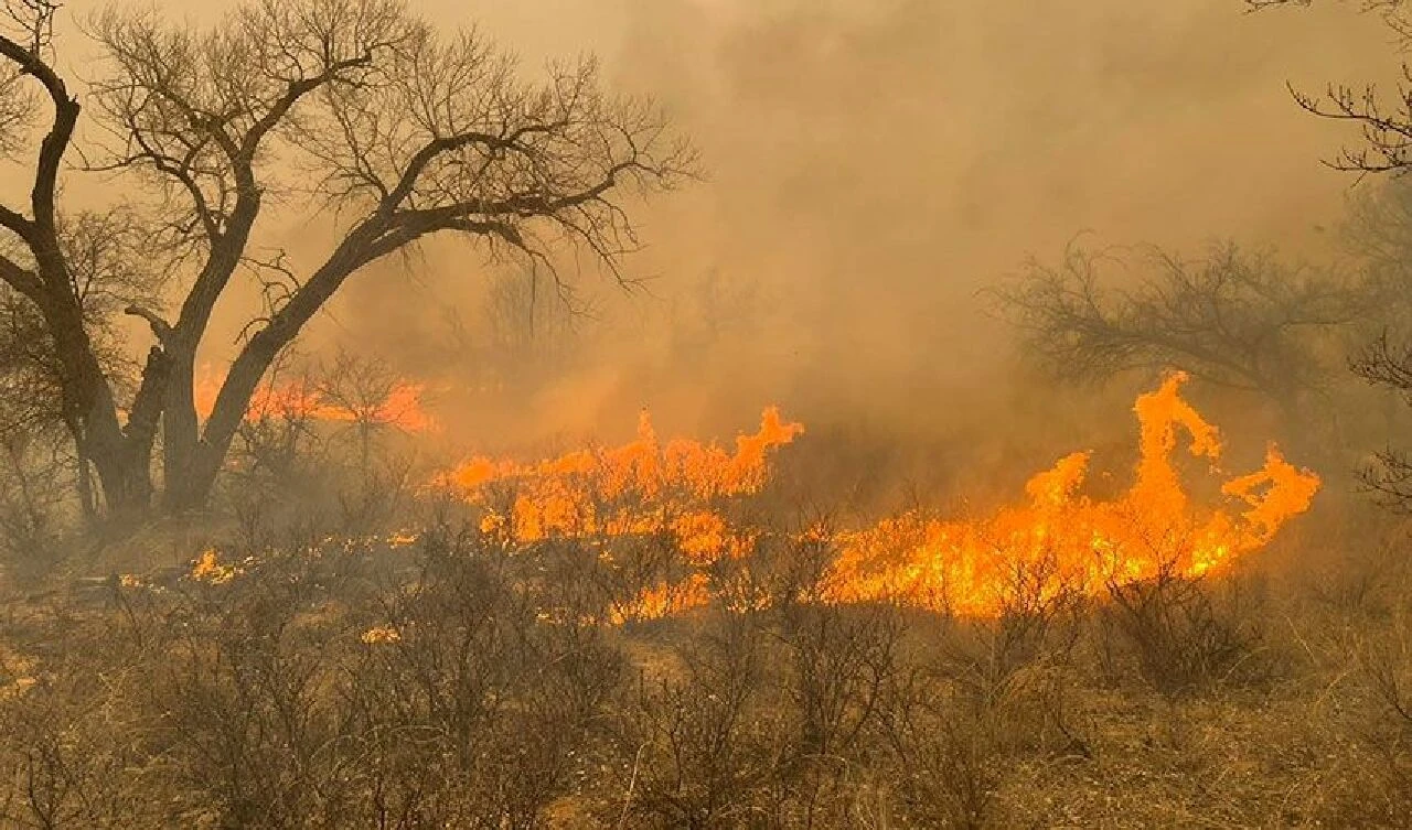 ABD'nin ciğerleri yanıyor: İtfaiyeciler alevlerin arasında kaldı