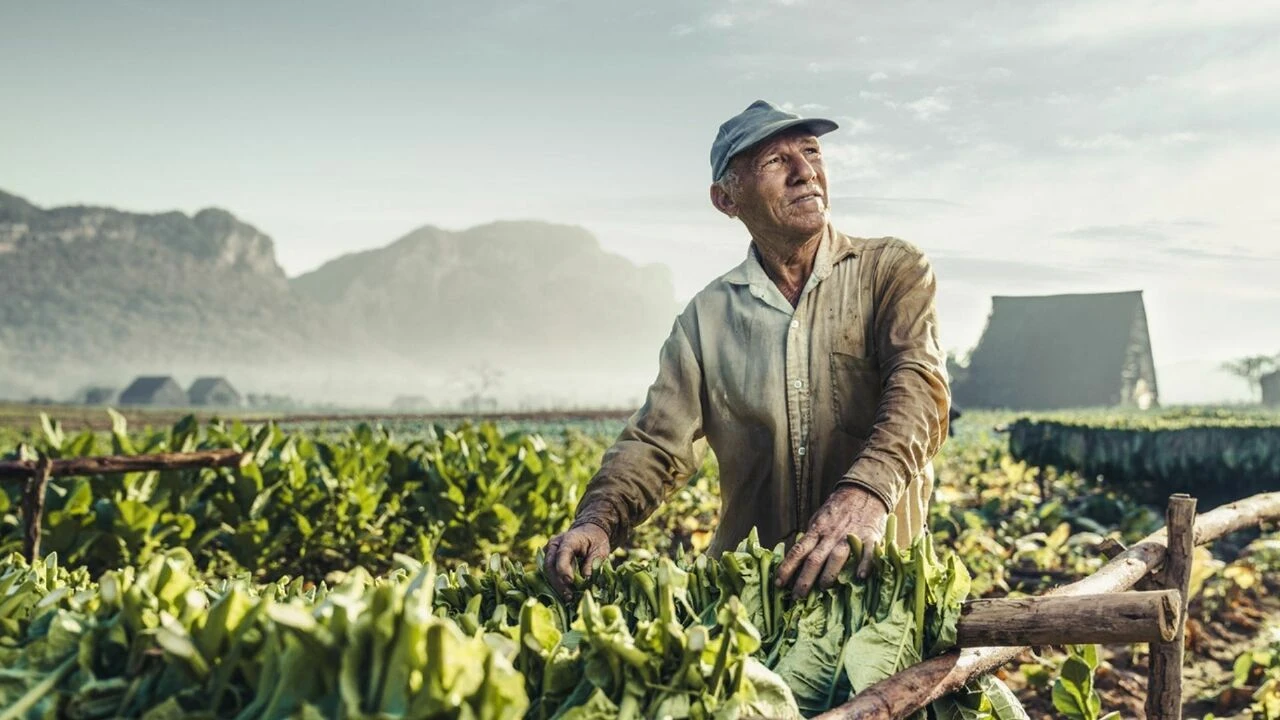 Türkiye'den Avrupa'ya çiftçi göçü! Aylık 100 bin TL'yi geçen maaş
