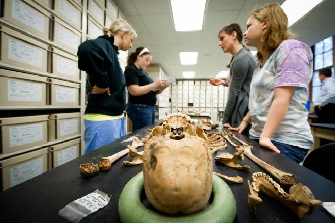 'Osmanlı tokadı yemiş kafatası' iddiasında gerçek ortaya çıktı