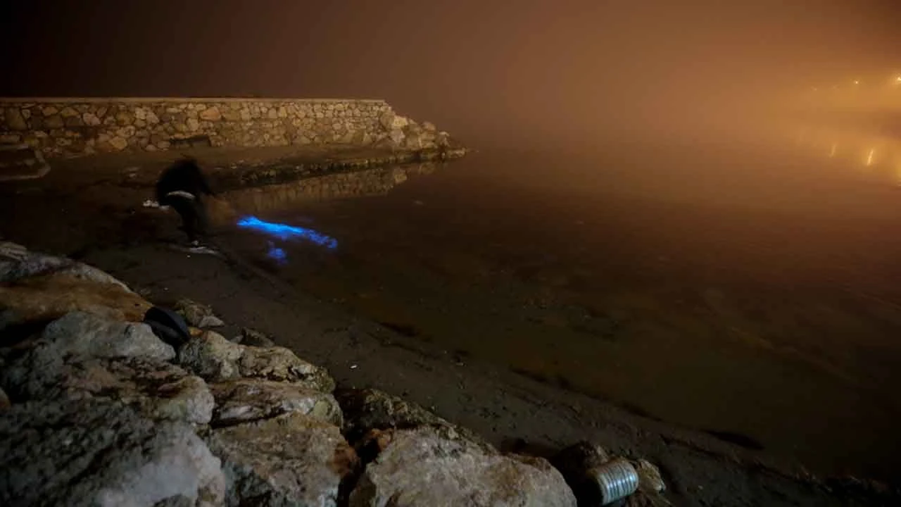 Marmara Denizi'nde ışık patlaması... Gören sahile koştu - 5. Resim