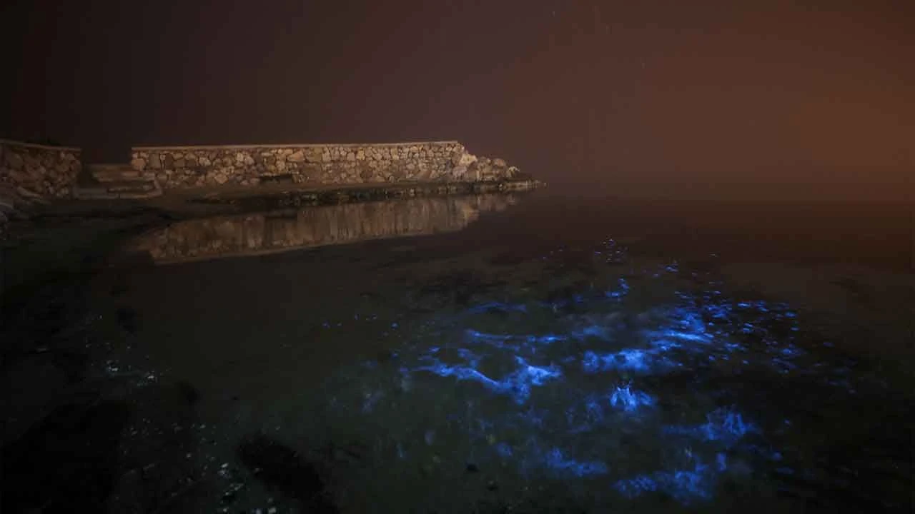 Marmara Denizi'nde ışık patlaması... Gören sahile koştu - 6. Resim