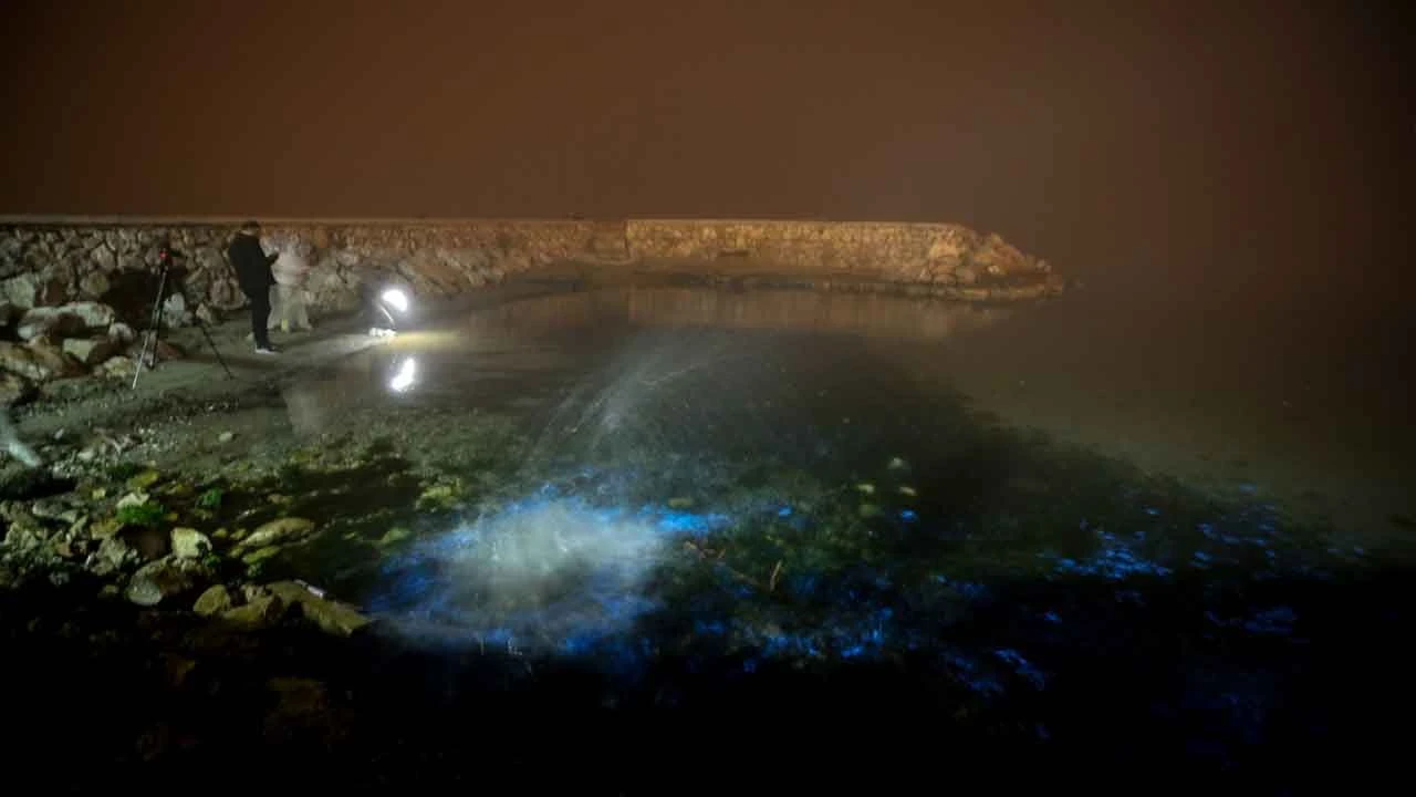 Marmara Denizi'nde ışık patlaması... Gören sahile koştu - 1. Resim