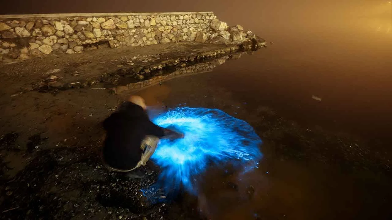 Marmara Denizi'nde ışık patlaması... Gören sahile koştu - 2. Resim